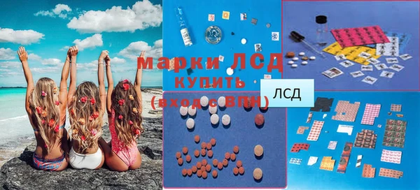 apvp Алзамай