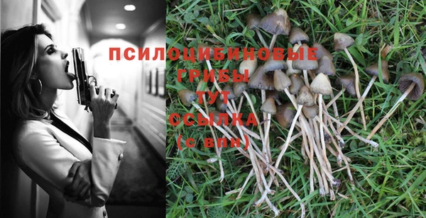 гашишное масло Алексеевка