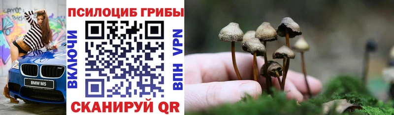 Псилоцибиновые грибы GOLDEN TEACHER Батайск