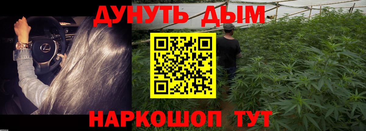 МАРИХУАНА план Батайск